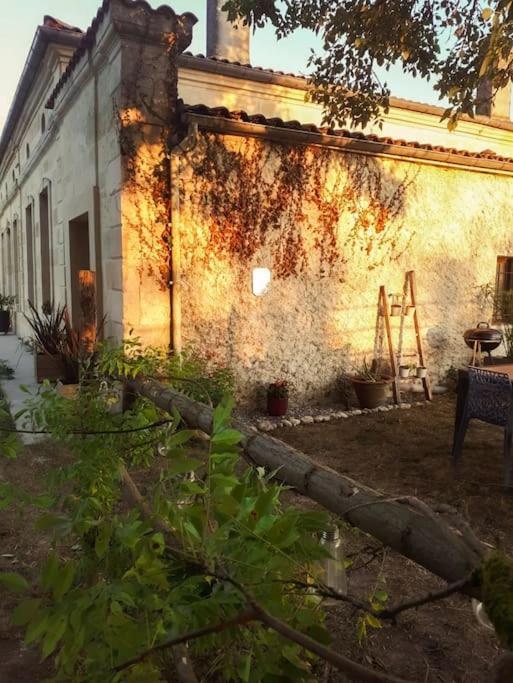 Gite A La Ferme Chaleureux Apartment Civrac-de-Blaye Ngoại thất bức ảnh
